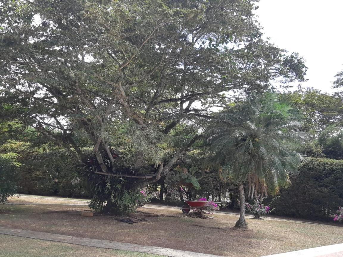 Finca Paraiso Calima Εξωτερικό φωτογραφία